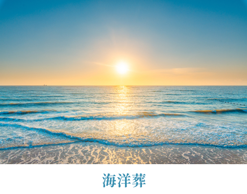 海洋葬