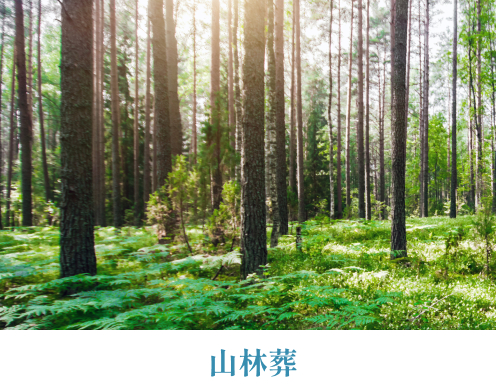 山林葬