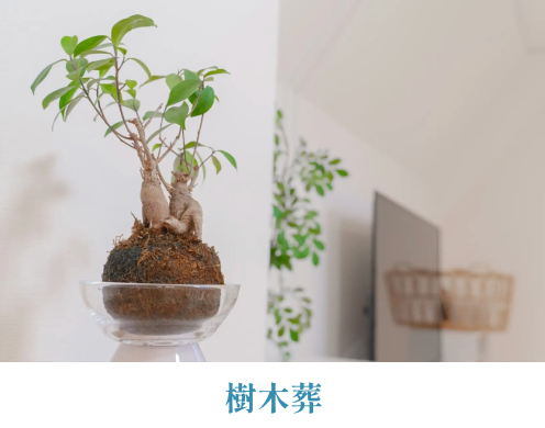 樹木葬