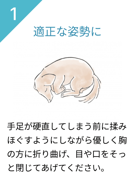 1.適正な姿勢に