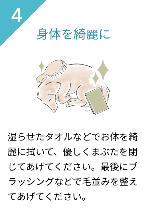 4.身体を綺麗に