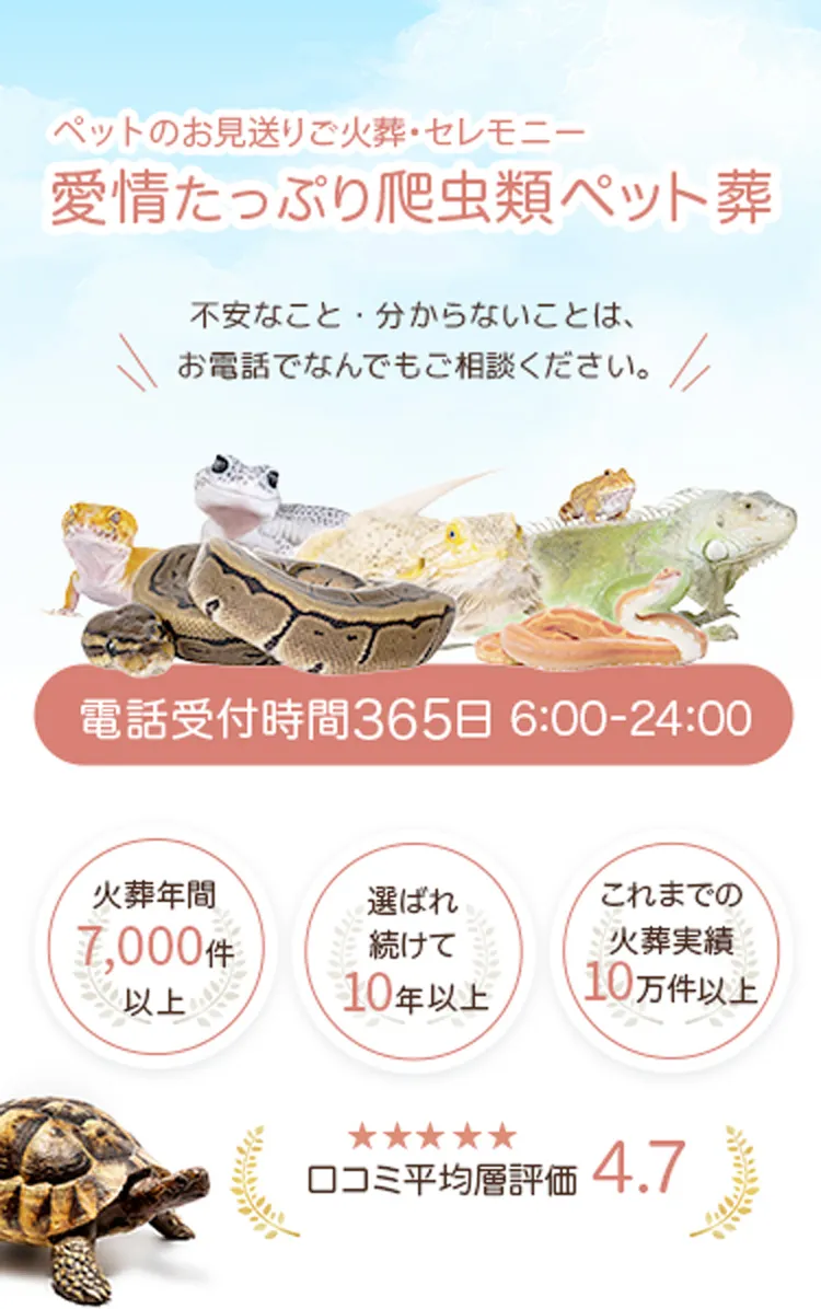 愛情たっぷり爬虫類ペット葬